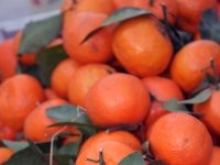 Zbog korone potražnja za agrumima u porastu