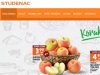 Studenac napravio prvi iskorak na inozemnom tržištu. Kupili su lanac slovenskih trgovina