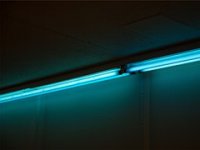 Malim biznisima zasjali na globalnoj sceni, no teško pronalaze radnike: ili nisu stručni, ili se teško sele