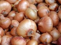 Lukom i krumpirom iz Belice opskrbljuju 89 Lidlovih trgovina