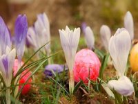 I ove smo godine za uskrsne blagdane rekordno trošili, ali...