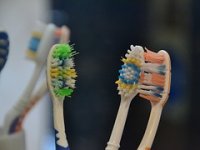 Zubarima ide kao podmazano: Pogledajte koliko zarađuju!