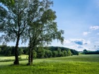 Financial Times: Međimurje među 10 najboljih regija za privlačenje stranih ulaganja