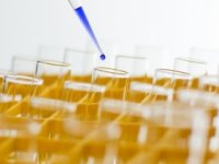 Zagrepčanka Iva Tolić među top 40 mladih biologa u svijetu, ona je 'generacija budućnosti'