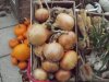AgroFructus grupa u Slatini otvorila pogon vrijedan 7 mil. eura
