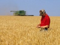 Poljoprivredi nedostaje razvijen sustav domaćeg financiranja