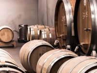 Iz nove vinske omotnice povukli smo rekordnih 94 posto