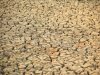 Klimatske promjene ugrožavaju globalni gospodarski rast