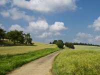 Manja od Hrvatske, a drugi svjetski izvoznik hrane