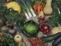 Novcem dobivenim na vjenčanju kupili traktor i upustili se u eko proizvodnju povrća