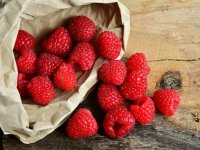 DANIEL LOTH:”Automatizirani sustav navodnjavanja olakšava uzgoj i brigu o nasadu malina”