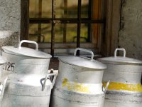 Rasla otkupna cijena mlijeka, ali naše je još uvijek jedno od jeftinijeg u EU?