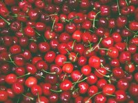 Ove godine imamo rekordan urod višnje, a ključ uspjeha je u jednostavnosti