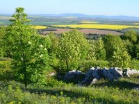 Utrošeno pola novca, Baranjci su najaktivniji