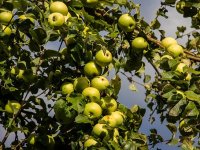 Jug: Ponosan sam što sam ostao na selu