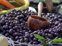 Praktikum u Gaju: Polikonična vaza kumovala rekordnom urodu u Birkićevom masliniku