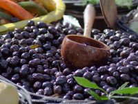 S 29 godina posadio više od 100 novih maslina: Primoštenac Niko nastavlja didovu tradiciju