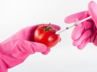 Startupi za 'Frankenstein' hranu nadmašili divove