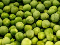 Gotovo cijela proizvodnja graška u Hrvatskoj u rukama 10 proizvođača