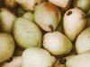 Prognosfruit: Proizvodnja jabuka i krušaka raste, ali potrošnja se smanjila