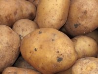 Agrivi i FER osigurali 6,35 milijuna kuna za razvoj umjetne inteligencije u poljoprivredi