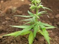 U Njemačkoj sam postigao sve što je bilo moguće, sad otvaram pogon u Hrvatskoj i zapošljavam 100 ljudi