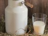 Preko farme pataka, koze i kozjeg mlijeka do vrhunskog jogurta