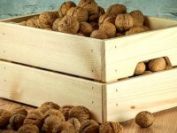 Plodova bilo sve više pa uzeo stvar u svoje ruke - napravio stroj za čišćenje oraha