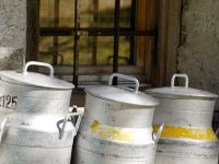 Donesen program potpore malim mljekarama vrijedan 4 milijuna eura