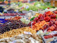 U tri generacije Miklečići došli od povrtnjaka do proizvodnje u 92 plastenika