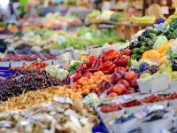 Berba voća i povrća u najvećoj ‘Šumi hrane’ u Hrvatskoj