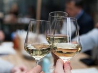Budućnost vinogradarstva je u eko proizvodnji, a promidžba je ključna