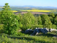 Vinaru Kolaru i keramičaru Asztalošu gosti dolaze iz Njemačke, Nizozemske, čak i Amerike