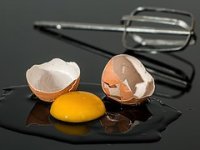 Ipak se može: Sposobni poduzetnici iz Ludbrega izvoze jaja na EU tržište