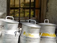 Kooperanti pred zidom: Otkup mlijeka dogovoren do kraja studenog, što nakon toga?