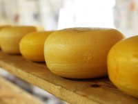 Danijela Blaić: Malo su nas čudno gledali kad smo ulagali u ovce i sir, ali trud se isplatio