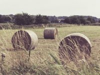 10 milijuna eura za 200 mladih poljoprivrednika