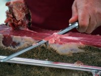 Jačanje suradnje: Svinje iz kontinentalne Hrvatske za istarski pršut