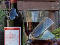 Najkvalitetnija vina od kojih su tržišta daleko
