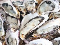 Dobar posao - dva eura za dagnje, euro za kamenicu