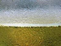 Vinodolska žlahtina kao primjer vrhunske proizvodnje i kvalitete