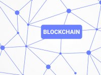 Zašto neke kriptovalute propadnu, a neke uspiju?