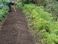 Je li Europska unija uzalud potrošila 12 milijardi eura za potpore eko uzgoju?