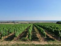 Stiglo više od 10.000 gostiju