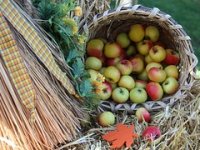 Što s OPG-om nakon što odlučite otići u mirovinu?