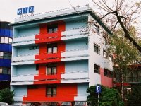 Iz recesije u pad, oporavak 2010.