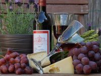 Enjingi vrhunska vina proizvodi u skladu s prirodom i uz pomoć Plantelle