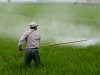 Četvrtina pesticida su krivotvoreni proizvodi