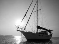 Više nego rekordne 2019.: Lanac marina ACI u prvih je šest mjeseci ove godine ostvario poslovne prihode od 98 milijuna kuna