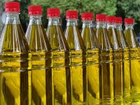 Na korak smo do brendiranja maslinovog ulja "Istra"